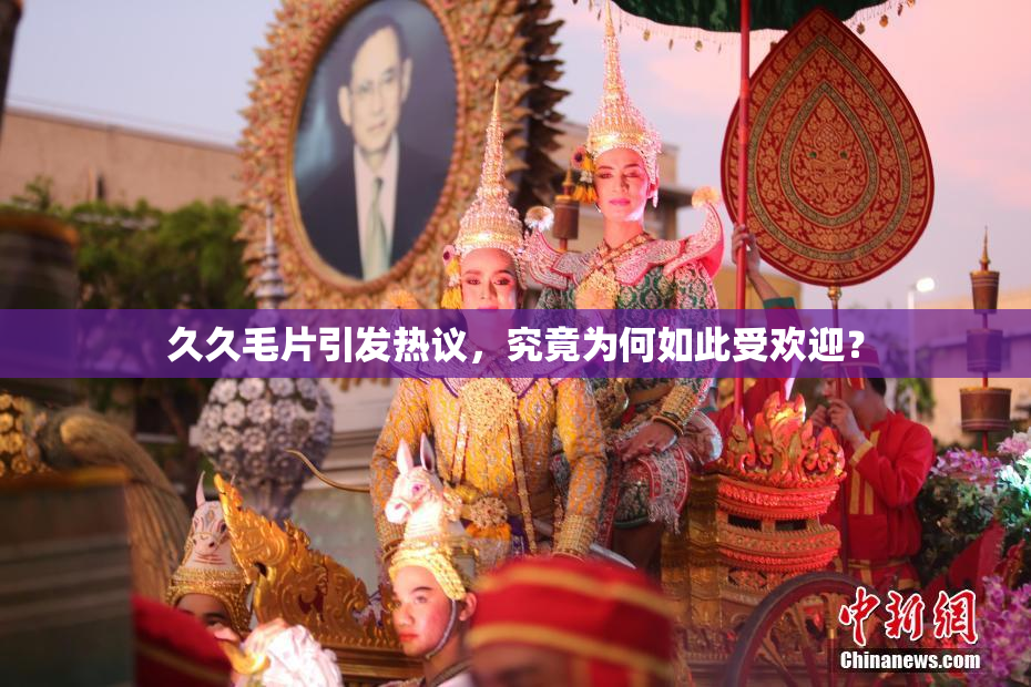 久久毛片引发热议，究竟为何如此受欢迎？