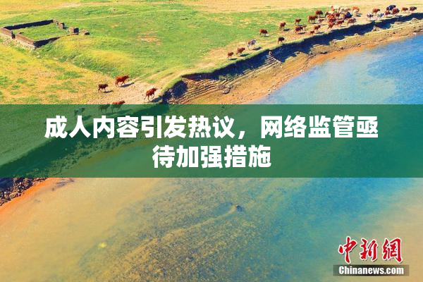成人内容引发热议，网络监管亟待加强措施