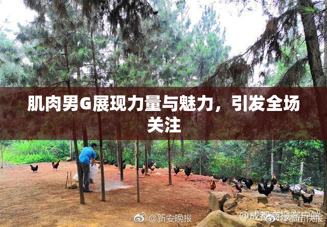 肌肉男G展现力量与魅力，引发全场关注