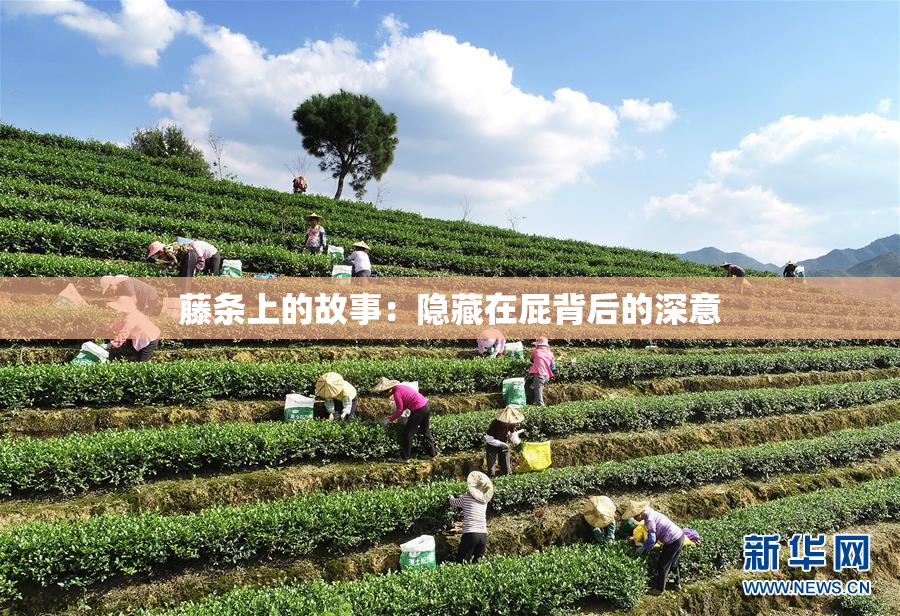 藤条上的故事：隐藏在屁背后的深意