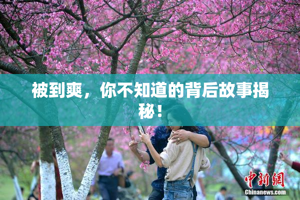 被到爽，你不知道的背后故事揭秘！