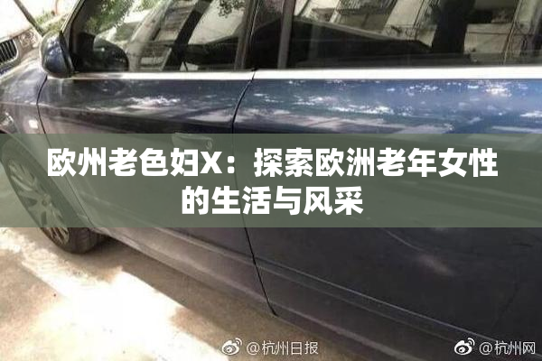 欧州老色妇X：探索欧洲老年女性的生活与风采