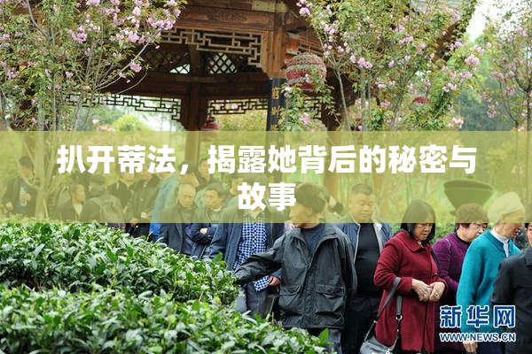 扒开蒂法，揭露她背后的秘密与故事