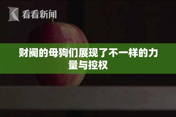 财阀的母狗们展现了不一样的力量与控权