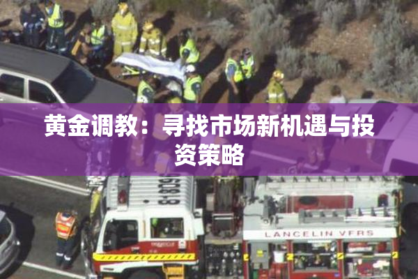 黄金调教：寻找市场新机遇与投资策略
