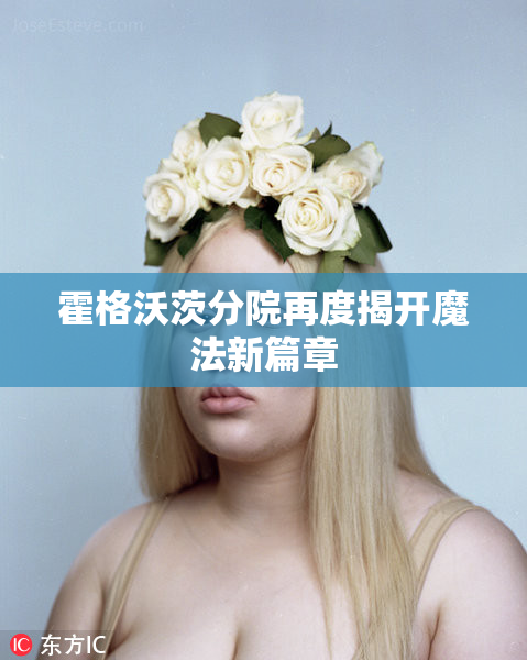 霍格沃茨分院再度揭开魔法新篇章