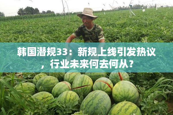 韩国潜规33：新规上线引发热议，行业未来何去何从？