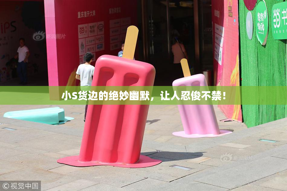 小S货边的绝妙幽默，让人忍俊不禁！
