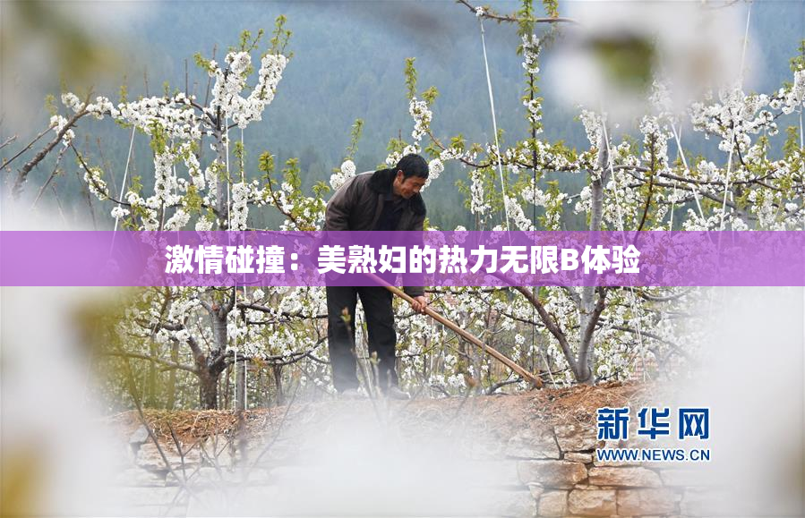 激情碰撞：美熟妇的热力无限B体验