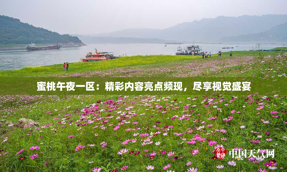 蜜桃午夜一区：精彩内容亮点频现，尽享视觉盛宴