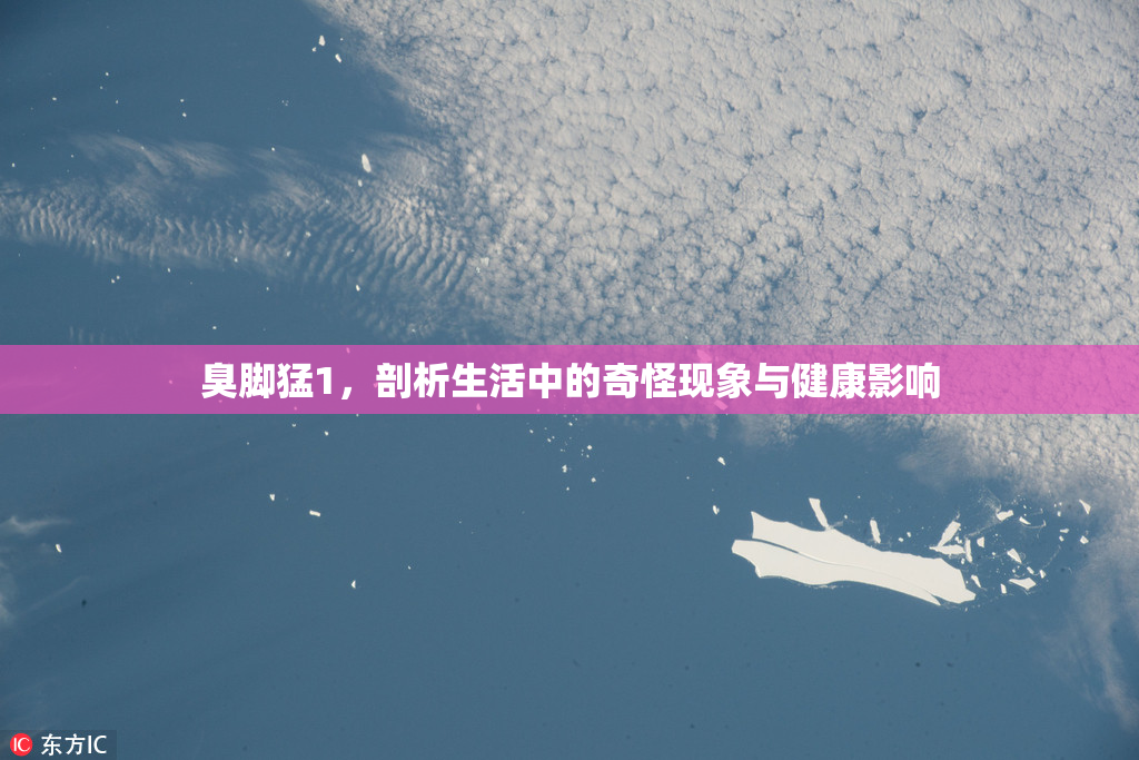 臭脚猛1，剖析生活中的奇怪现象与健康影响