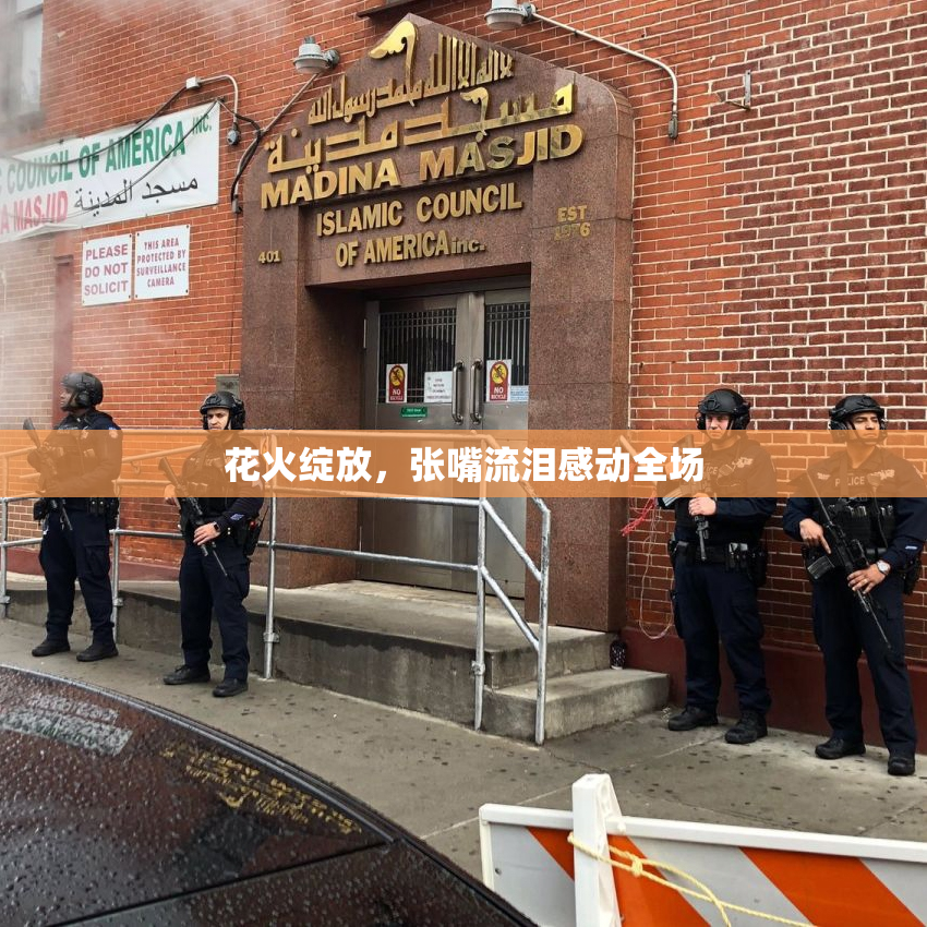 花火绽放，张嘴流泪感动全场