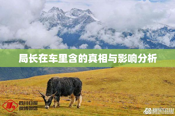 局长在车里含的真相与影响分析