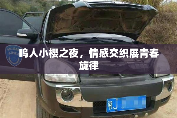 鸣人小樱之夜，情感交织展青春旋律
