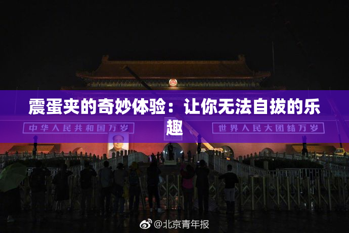 震蛋夹的奇妙体验：让你无法自拔的乐趣