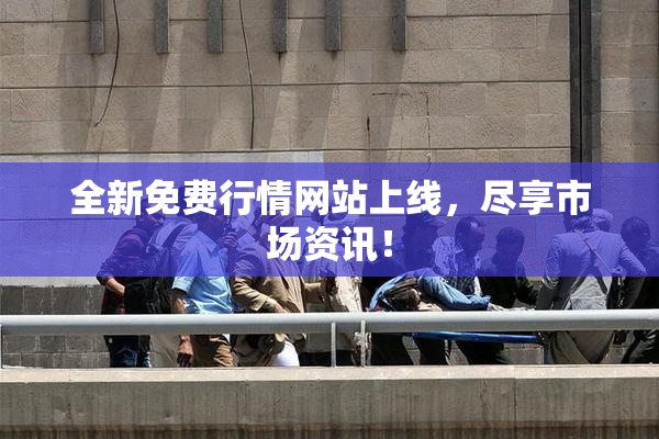 全新免费行情网站上线，尽享市场资讯！