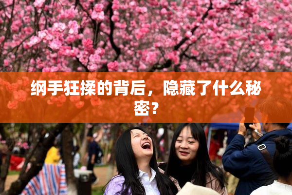 纲手狂揉的背后，隐藏了什么秘密？