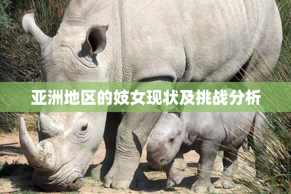 亚洲地区的妓女现状及挑战分析