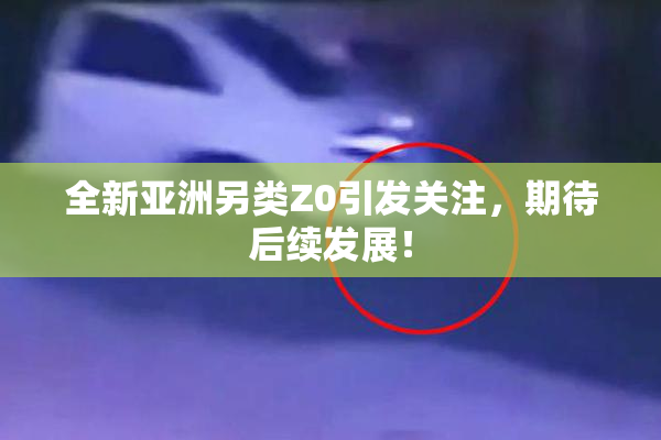 全新亚洲另类Z0引发关注，期待后续发展！