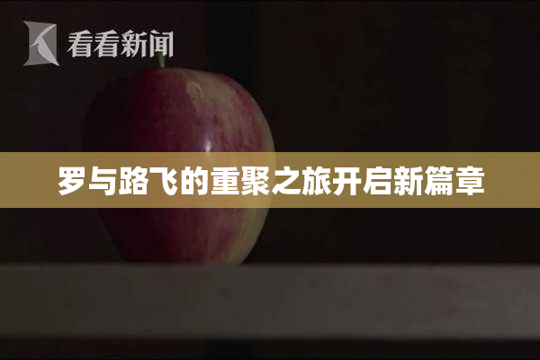 罗与路飞的重聚之旅开启新篇章