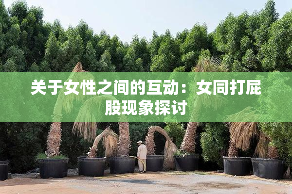 关于女性之间的互动：女同打屁股现象探讨