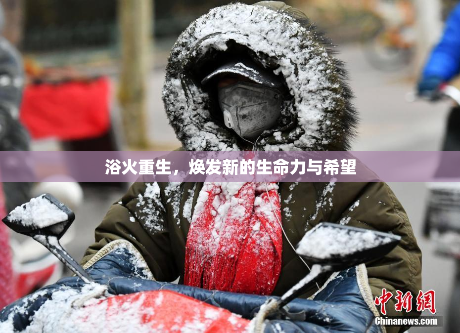 浴火重生，焕发新的生命力与希望