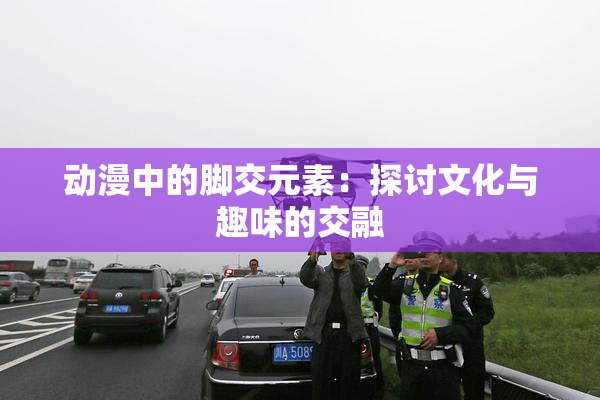 动漫中的脚交元素：探讨文化与趣味的交融