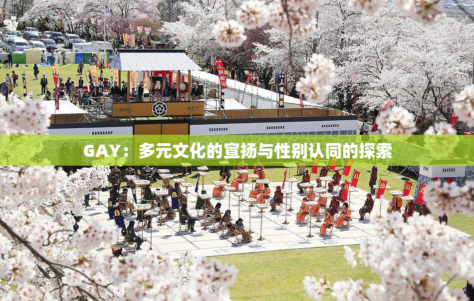 GAY：多元文化的宣扬与性别认同的探索