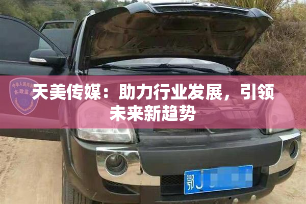 天美传媒：助力行业发展，引领未来新趋势