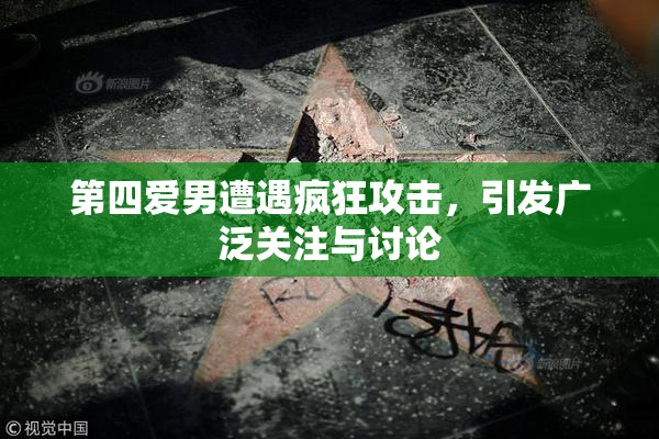 第四爱男遭遇疯狂攻击，引发广泛关注与讨论