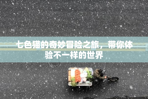 七色猫的奇妙冒险之旅，带你体验不一样的世界
