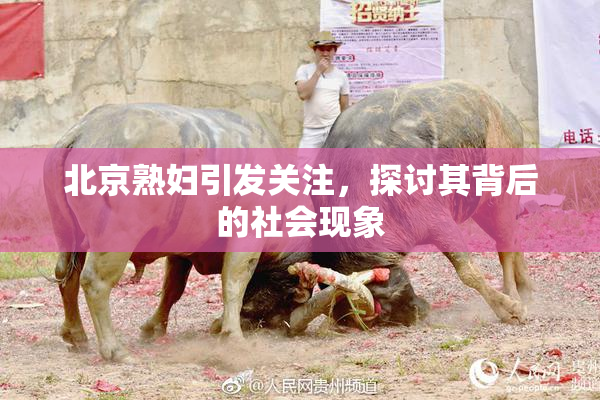 北京熟妇引发关注，探讨其背后的社会现象