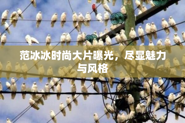 范冰冰时尚大片曝光，尽显魅力与风格
