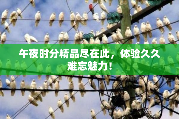 午夜时分精品尽在此，体验久久难忘魅力！