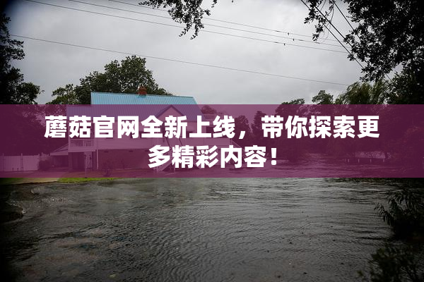蘑菇官网全新上线，带你探索更多精彩内容！