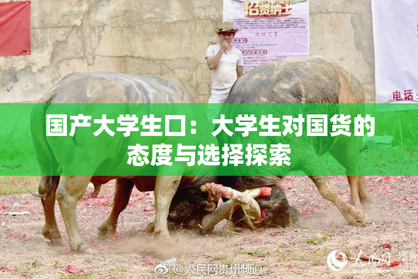 国产大学生囗：大学生对国货的态度与选择探索