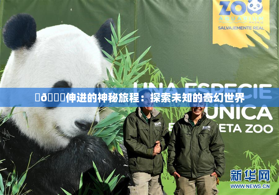 ‌🍌伸进的神秘旅程：探索未知的奇幻世界