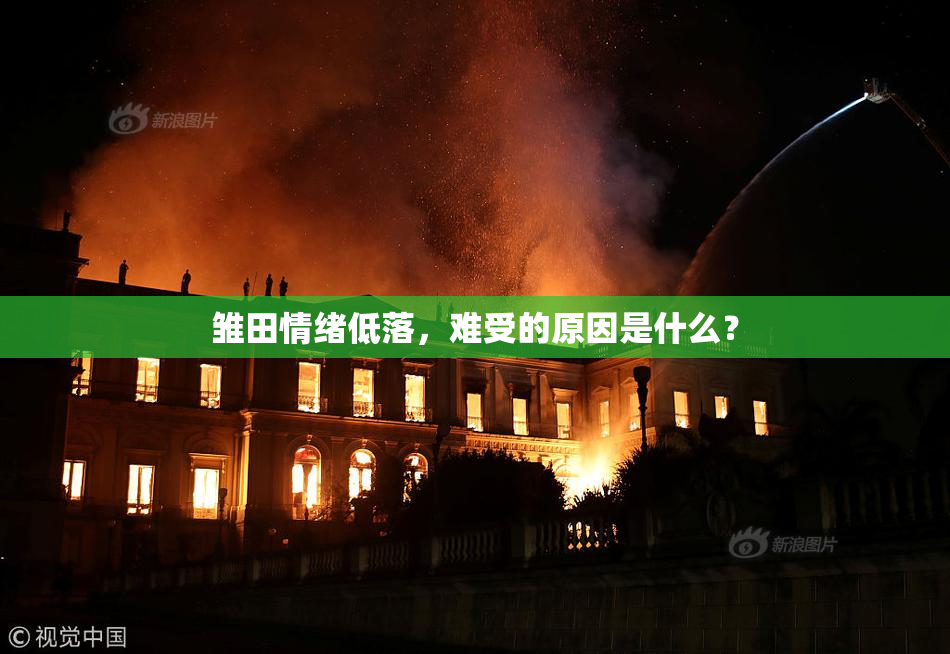 雏田情绪低落，难受的原因是什么？