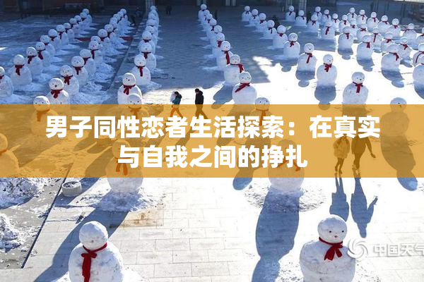 男子同性恋者生活探索：在真实与自我之间的挣扎