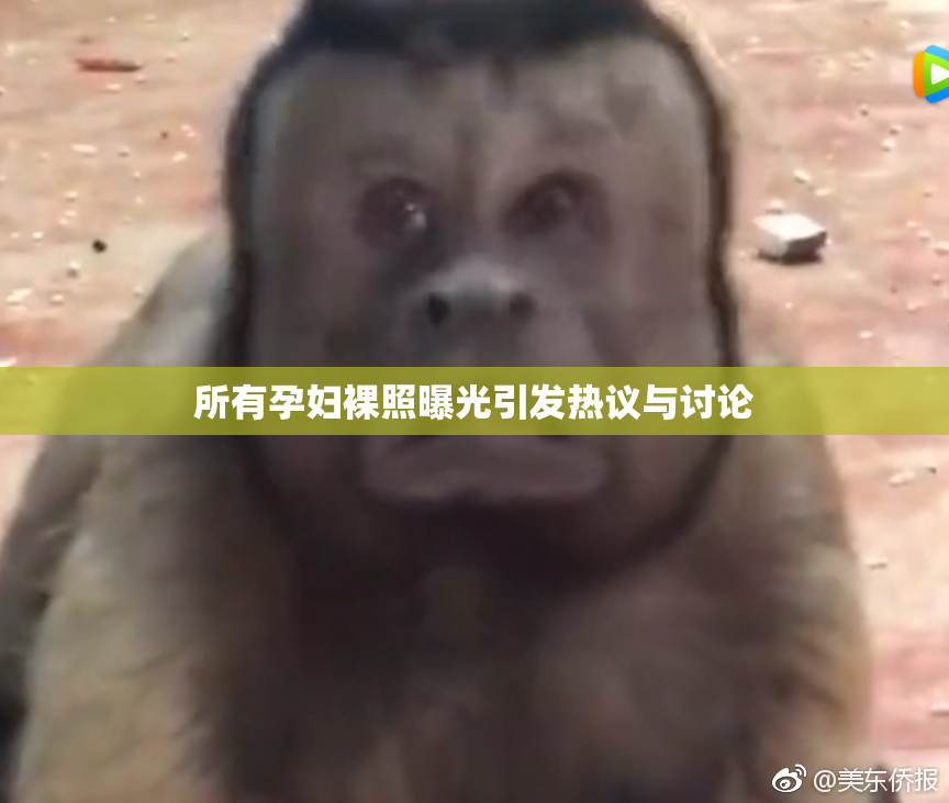 所有孕妇裸照曝光引发热议与讨论