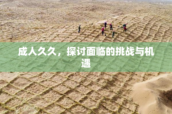 成人久久，探讨面临的挑战与机遇