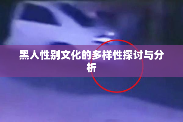 黑人性别文化的多样性探讨与分析