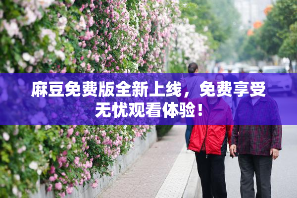 麻豆免费版全新上线，免费享受无忧观看体验！
