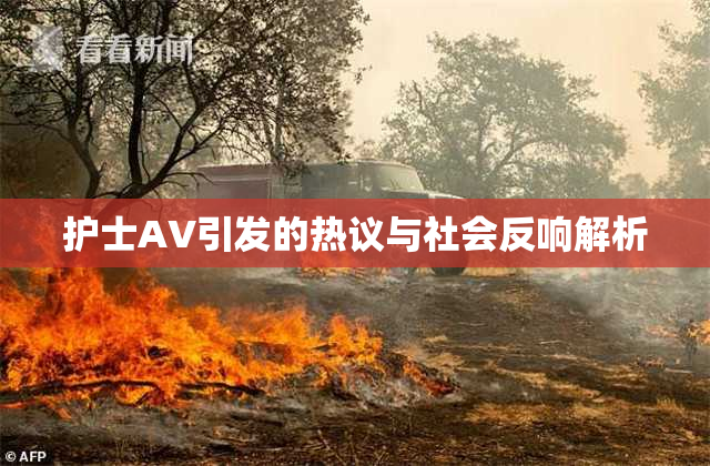 护士AV引发的热议与社会反响解析