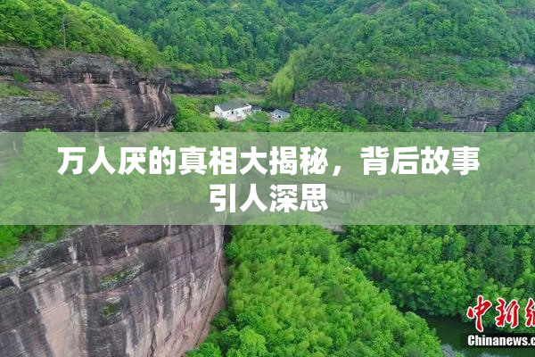 万人厌的真相大揭秘，背后故事引人深思