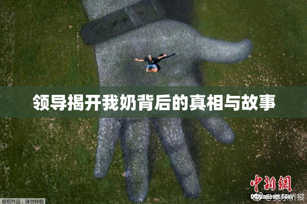 领导揭开我奶背后的真相与故事