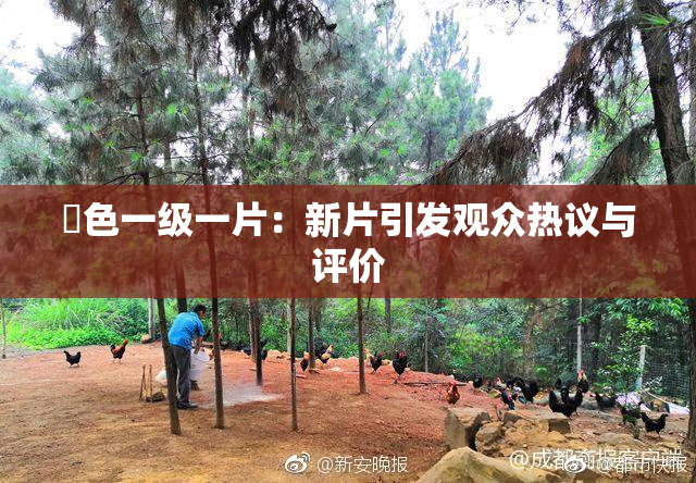 黃色一级一片：新片引发观众热议与评价