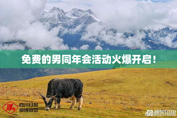 免费的男同年会活动火爆开启！
