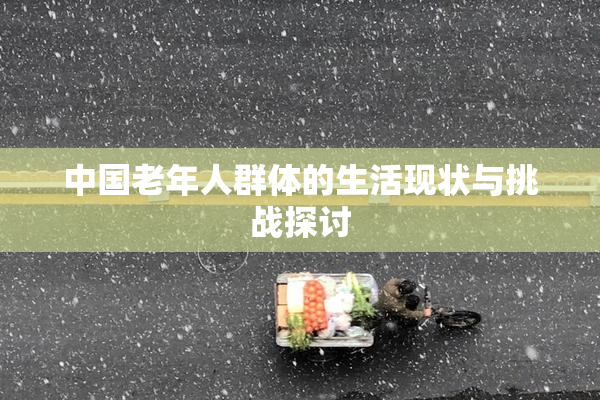 中国老年人群体的生活现状与挑战探讨