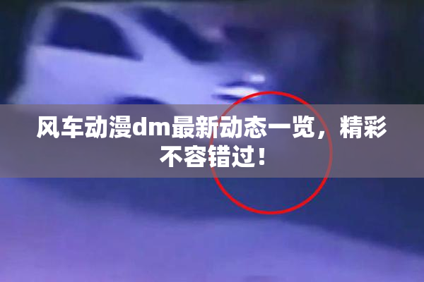 风车动漫dm最新动态一览，精彩不容错过！